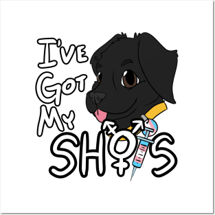 I've Got My Shots (Black Lab, HRT) Posters and Art